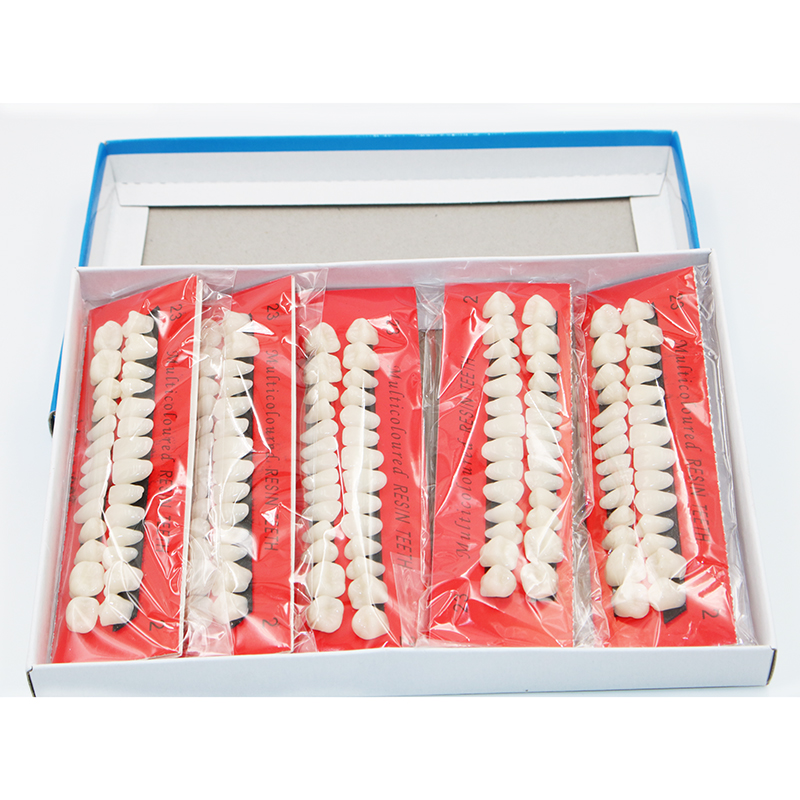 Resin Art Tool Kit - 10 sets Dentistry Plastic Teeth Teaching